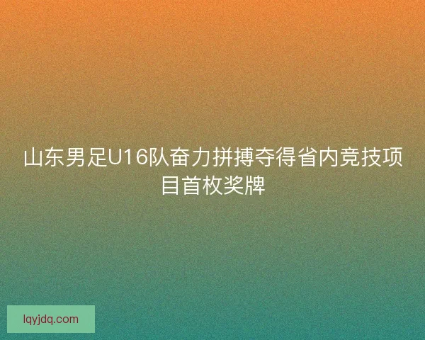 山东男足U16队奋力拼搏夺得省内竞技项目首枚奖牌