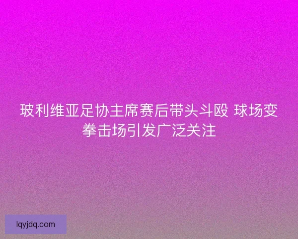 玻利维亚足协主席赛后带头斗殴 球场变拳击场引发广泛关注